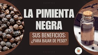 LA PIMIENTA NEGRA Para qué Sirve Beneficios [upl. by Pepito]