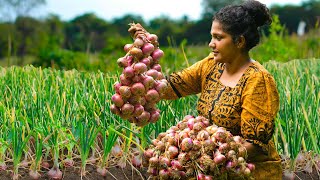 Farm fresh Onionssmelly big red onion harvesting and Make The Best Crispy And Savory Onion Recipes [upl. by Enia]