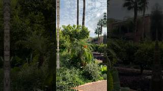 Splendeur des Jardins de Marrakech marrakesh [upl. by Sang847]