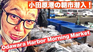 Amazing Odawara Harbor Morning Market小田原・港の朝市に潜入！【日本の風景】【漁師】【観光】【グルメ】 [upl. by Acalia]