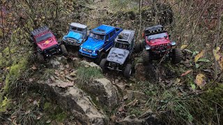 110 Forest amp Rock Crawling Absima Traxxas RGT amp more Cigánské zmoly [upl. by Eleirbag675]