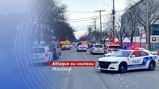 Famille décimée  triple meurtre dans Rosemont à Montréal [upl. by Nadnal]