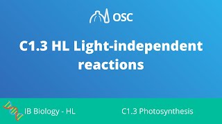 C13 HL Light Independent Reactions IB Biology HL [upl. by Hollerman]