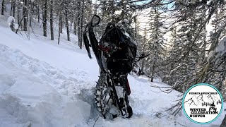 Riding the trees in the ChicChocs Freeride Gen 5 146 [upl. by Baniez]