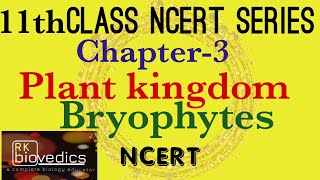 Bryophytes Class 11 Plant Kingdom  NCERT Neet exam [upl. by Orgel]