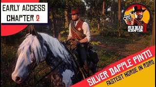 How to get the Missouri Fox Trotter RDR2  Albert Mason  Tracking [upl. by Berneta]