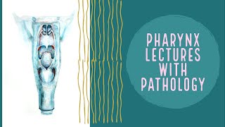 MEMBRANE OVER TONSIL what it can be PHARYNX lecture 14 [upl. by Samella]