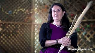 Sukkot How to Say the Blessings and Shake the Lulav [upl. by Quintana783]