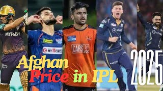 IPL Rich List Afghan Players Who Struck Gold Why Rashid Khan is IPL’s Ultimate Afghan Asset” [upl. by Zilvia]