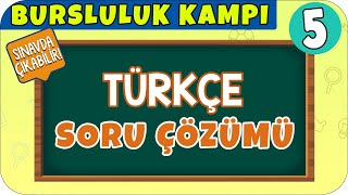 5 Sınıf Türkçe Soru Çözümü  Bursluluk Kampı 2021 [upl. by Ewan]