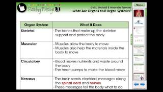 CC7549 Cells Skeletal amp Muscular Systems Organs and Organ Systems Chapter Mini  2013 [upl. by Eeslek]