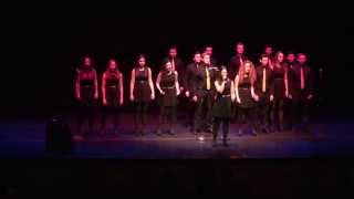 Vocal Point ICCA South Semifinal 2014 [upl. by Pantheas]