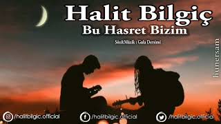 Halit Bilgiç  Bu Hasret Bizim   Official Audio [upl. by Oedama]