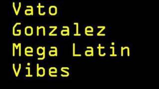 Vato Gonzalez  Mega Latin Vibes [upl. by Ytinirt970]