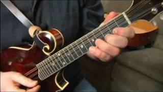 Scales amp Finger Patterns for Mandolin  Mandolin Finger Pattern 1 High Octave [upl. by Jesselyn]