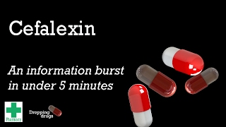 Cefalexin information burst [upl. by Jeanelle]