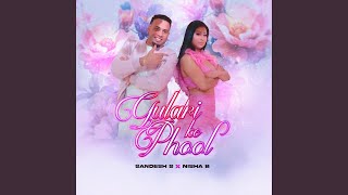 Gulari Ke Phool feat Nisha B [upl. by Delbert]