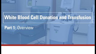 White blood cell donation and transfusion  part 1 Overview [upl. by Aziram]