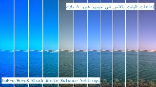 GoPro Hero8 White Balance  كيفية ضبط الوايت بالانس في جوبرو هيرو 8 [upl. by Nawram573]