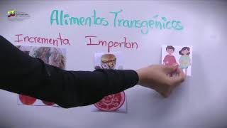 Aspectos Negativos de los Alimentos Transgénicos [upl. by Ellissa277]