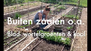 Inis Moestuin 182  Buiten zaaien blad en wortelgroenten kool Binnen zaaien o a courgette [upl. by Darren]