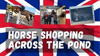 HORSE SHOPPING IN ENGLAND AND IRELAND [upl. by Nerval815]