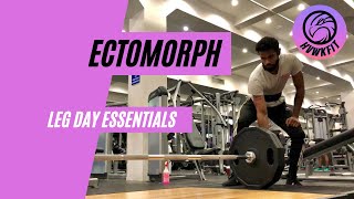 Ectomorph Essentials [upl. by Harwilll]