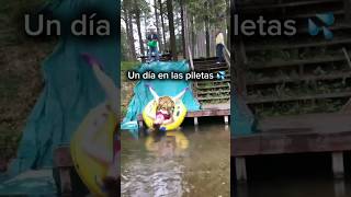 UN DÍA NORMAL EN LAS PILETAS  A day in the pool 💦 humor risa viral funny funnyvideo comedia [upl. by Ayoras982]