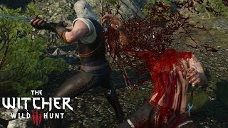 The Witcher 3 Wild Hunt  Person in Distress [upl. by Rorie]