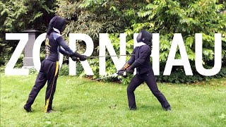 Zornhau  Liechtenauers Longsword  Learn Sword Fighting [upl. by Ahsekim]