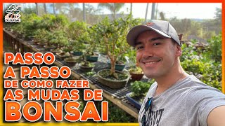 COMO CONSTRUIR VIVEIRO DE BONSAI  PASSO A PASSO DE COMO FAZER AS MUDAS DO ZERO  PARTE 2 [upl. by Sekofski]