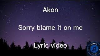 Akon  Sorry blame it on me Lyric video [upl. by Bunni]