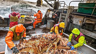 Deadly Expedition  Catch King Crabs in Fierce Seas and Big Waves Big Catch of Alaskan Crab [upl. by Laflam]