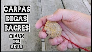 Masa para pescar Carpas Bogas y Bagres Fácil y Económica [upl. by Nart186]