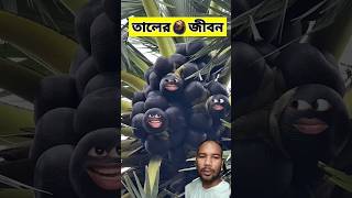 তালের জীবনে 😂  funnyvideo comedyshorts [upl. by Map]