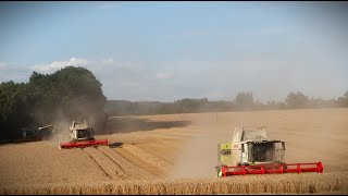 Žně 2024  pšenice II  Claas Lexion 660 amp 6600 amp 6700  1x Case IH 2x John Deere  HD [upl. by Yerak]