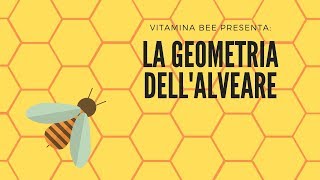 LA GEOMETRIA DELLALVEARE [upl. by Armington]