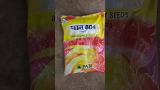 pan jamuna 804 pan jamuna 804 paddy seed lalswarna dhan bb 11 group amon dhan 2024 pan mtu7029viral [upl. by Rhtaeh]