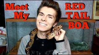 Meet My Red Tail Boa [upl. by Benildas847]