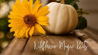 Vlogtober 1921  Wildflower Magic Knits Rhinebeck goodies [upl. by Nyliram640]