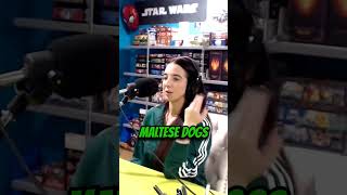 Maltese Problems shorts podcast malta comedy standupcomedy interview funny maltese lol [upl. by Gnes423]