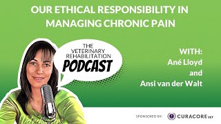 Our Ethical Responsibility in Managing Chronic Pain with Ansi van der Walt [upl. by Nitsej]