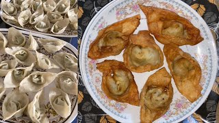 Mayo Chicken Wonton Recipe By Naaz Kitchen  Easy Stuffed Wonton  Make And Freeze Snack Recipe [upl. by Pearl]