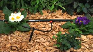 Rain Bird Drip Irrigation System [upl. by Blalock]