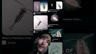 Copepods and illuminati coincidence [upl. by Adnawal]