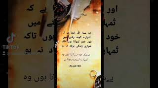 Aor mera ALLAH kehta [upl. by Auqenes656]