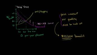 03  Public goods and externalities  03  Positive externalitieswebm [upl. by Lisan]