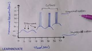 ACTION POTENTIAL IN SMOOTH MUSCLE  SPIKE AND SLOW WAVES  TONIC CONTRACTION IN GIT CHP 63 GUYTON [upl. by Nneb799]