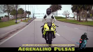 MKlubas  Adrenalino Pulsas Video 2024 [upl. by Selma]