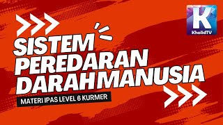 Sistem Peredaran Darah Manusia  IPAS Fase C Level 6  Kurikulum Merdeka [upl. by Riehl]